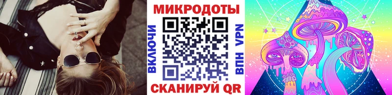 Галлюциногенные грибы Psilocybe  Чегем 